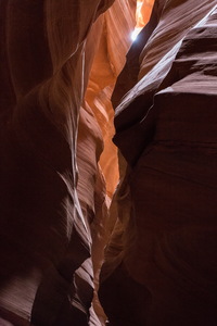 img_08867s.jpg