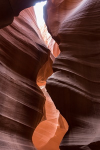 img_08882s.jpg