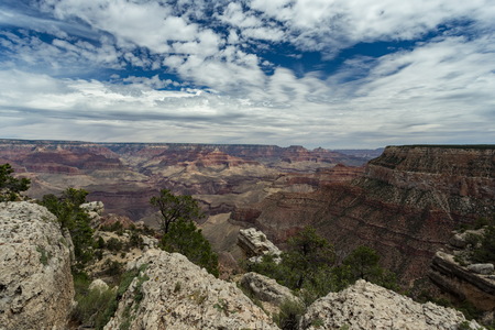 img_09208s.jpg