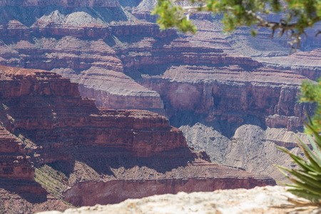 img_09293s.jpg