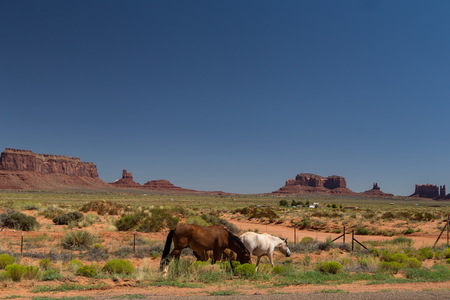img_09385s.jpg