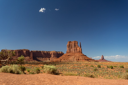 img_09423s.jpg