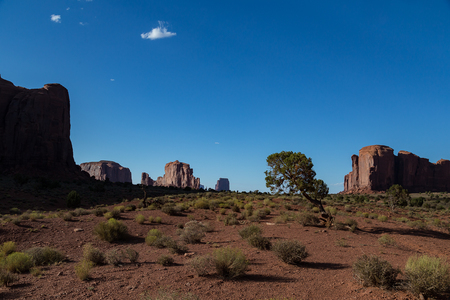 img_09464s.jpg