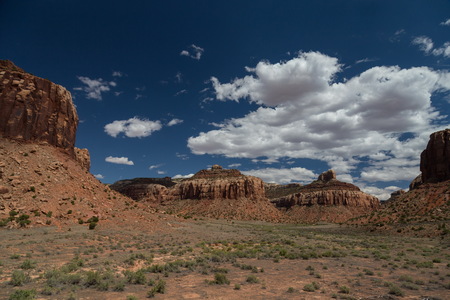 img_09525s.jpg