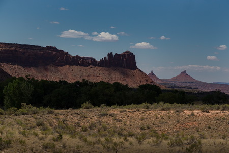 img_09528s.jpg