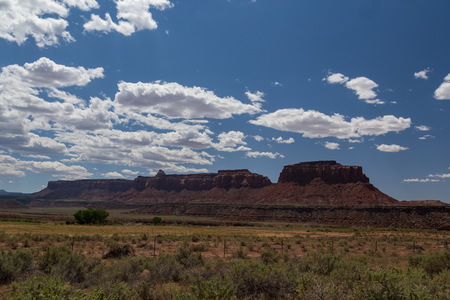 img_09530s.jpg