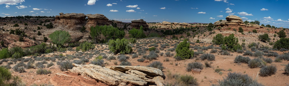 img_09544-panorama-2s.jpg