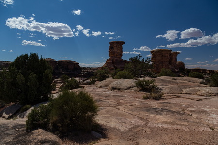 img_09563s.jpg