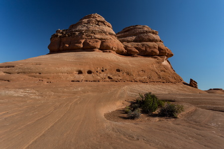 img_09660s.jpg