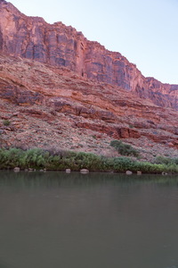 img_09756s.jpg