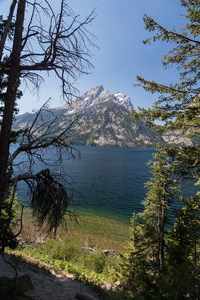 img_09790s.jpg