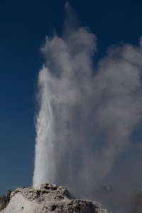 img_10123s.jpg