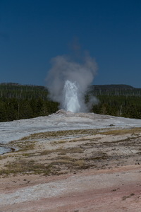 img_10144s.jpg