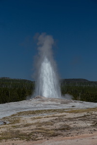 img_10146s.jpg