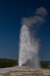 img_10151s.jpg