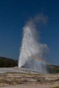 img_10153s.jpg