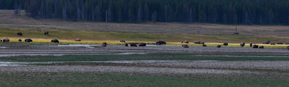 img_10595-panorama-smalls.jpg