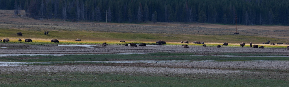 img_10595-panoramas.jpg