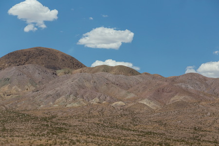 img_10845s.jpg