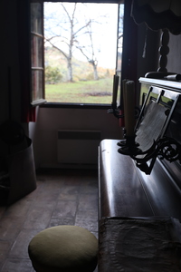 20241211.120103_r6m2_mont.lion.jpg