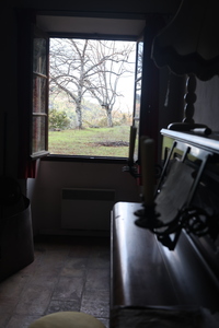 20241211.120108_r6m2_mont.lion.jpg