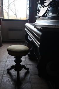 20241211.120131_r6m2_mont.lion.jpg