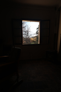20241211.120958_r6m2_mont.lion.jpg